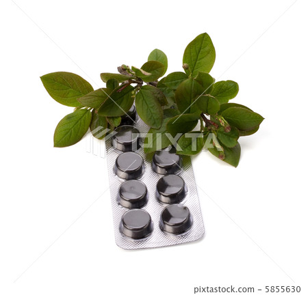herbal medicine isolated on white background herbal medicine isolated on white background 5855630
