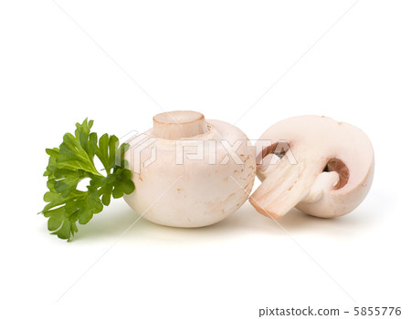Champignon mushroom and fresh parsley 5855776
