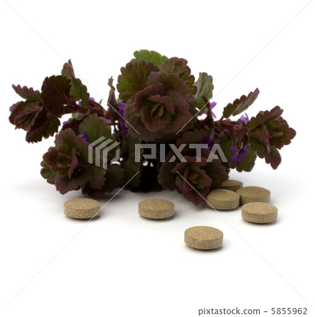 herbal medicine isolated on white background 5855962