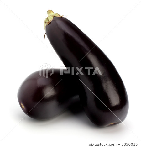 eggplants isolated on white background close up eggplants isolated on white background close up 5856015