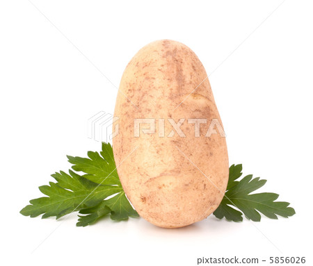 potato and parsley leaves 5856026