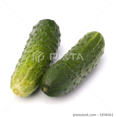 Cucumber vegetable 5856081