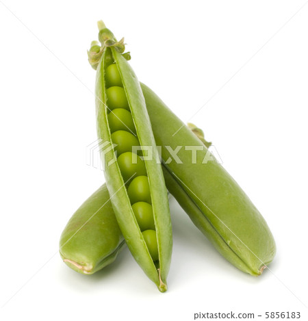 Fresh green pea pod 5856183