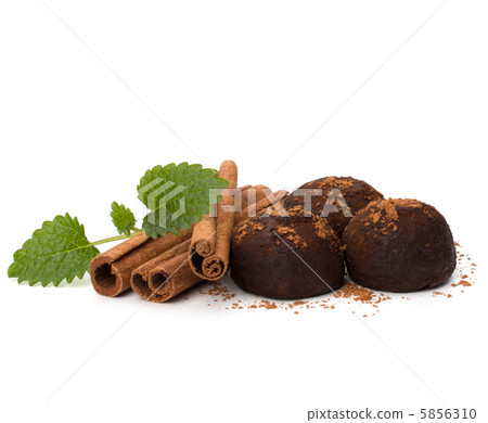 Chocolate truffle candy Chocolate truffle candy 5856310