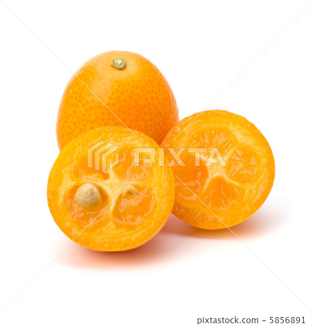 Cumquat or kumquat Cumquat or kumquat 5856891