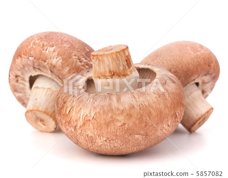 Brown champignon mushroom Brown champignon mushroom 5857082