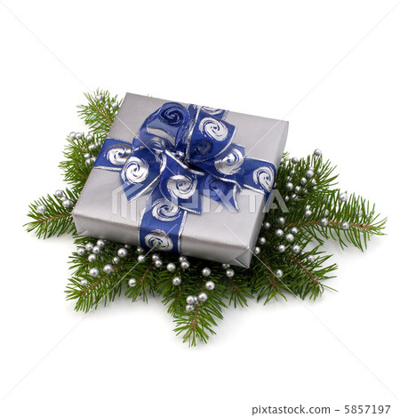 Silver gift box 5857197