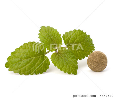 Herbal pills 5857379