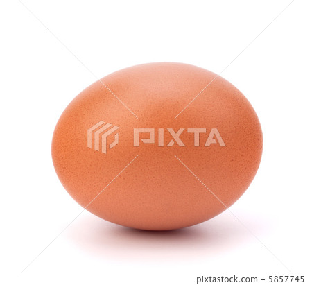 egg isolated on white background 5857745