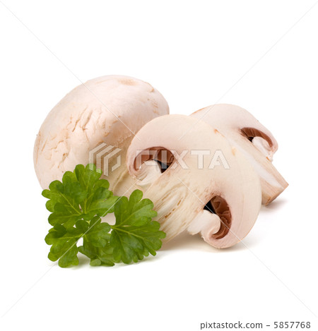 Champignon mushroom 5857768