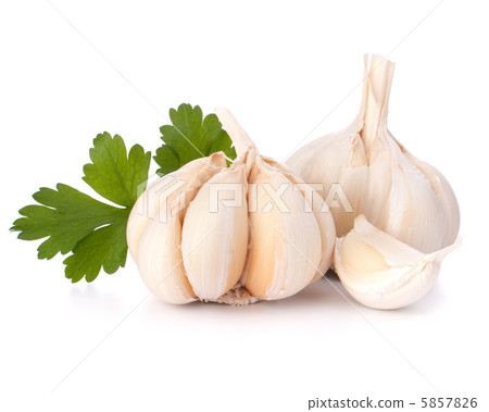 Garlic bulb and parsley leaf 5857826