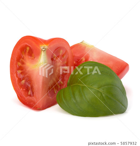 Tomato vegetable segment and basil leaf Tomato vegetable segment and basil leaf 5857932