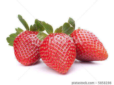 Strawberry Strawberry 5858198