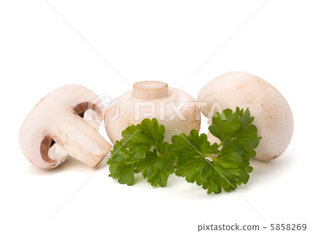 Champignon mushroom and fresh parsley Champignon mushroom and fresh parsley 5858269