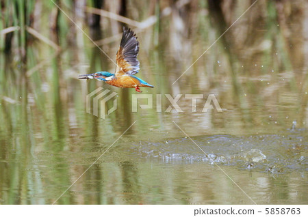 Interdiction 5858763