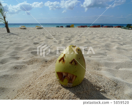 萬聖節椰子！？ 5859520