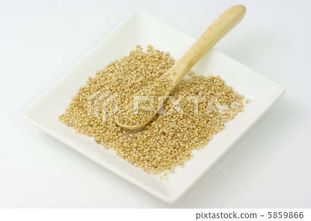 sesame sesame 5859866