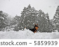 snow          5859939