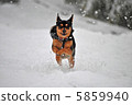 snow          5859940