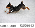 snow          5859942