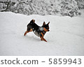 snow          5859943
