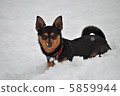 snow          5859944