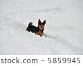 snow          5859945