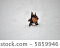 snow          5859946