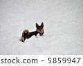 snow          5859947