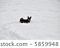 snow          5859948