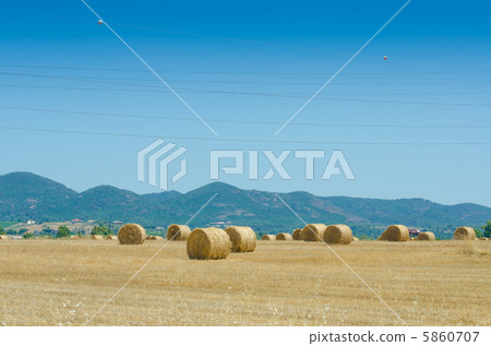 Field with rolls of hay on summer day Field with rolls of hay on summer day 5860707