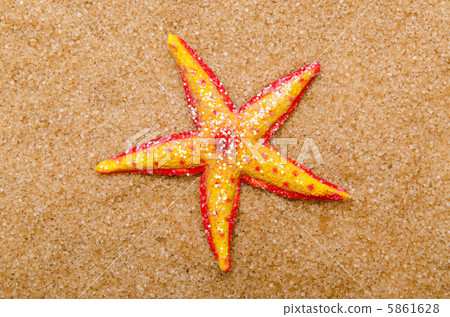 Sea stars on the sand 5861628