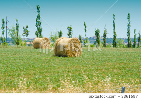 Field with rolls of hay on summer day Field with rolls of hay on summer day 5861697