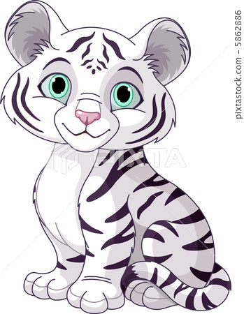White tiger cub White tiger cub 5862886
