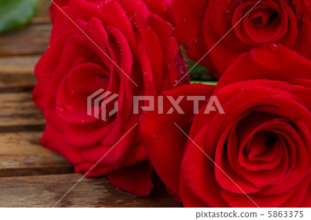 bouquet of red roses close up bouquet of red roses close up 5863375
