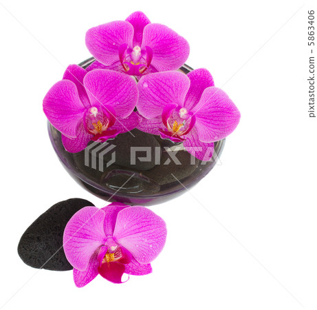 orchid and zen stones orchid and zen stones 5863406
