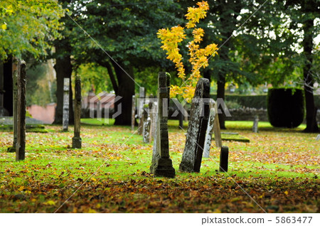 A church cemetary where Shakespeare sleeps 5863477