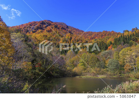 Autumnal hem hemisphere natural park 5863847