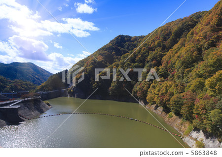Autumnal leaf blossoms dam 5863848
