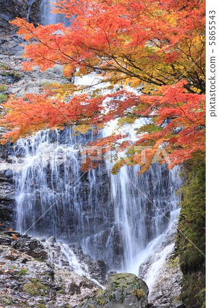 Karasawa的秋天的秋天在秋天 5865543