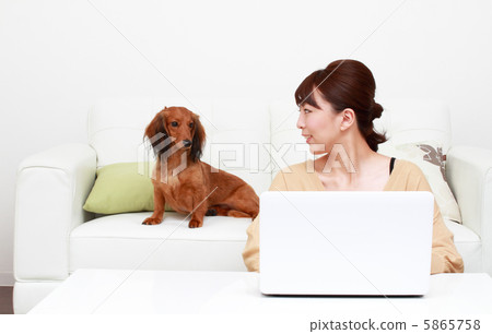 A woman who plays a personal computer and a dachshund A woman who plays a personal computer and a dachshund 5865758