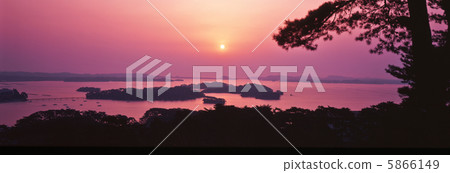 西部歸來的松樹的景色 5866149