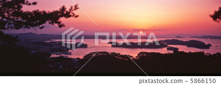 西部歸來的松樹的景色 5866150