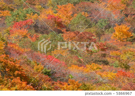 Mt. Usudo Mt. Usudo 5866967