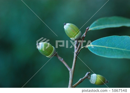 Silk screen Silk screen 5867548