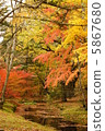 秋天的樹葉 5867680