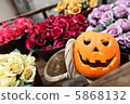 Halloween  5868132