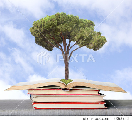 environmental, fir, found 5868533