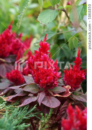 經人 經人 5868850