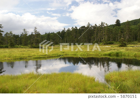 Ukishima Marsh (Kamikawa-cho, Takigami-cho) 5870151